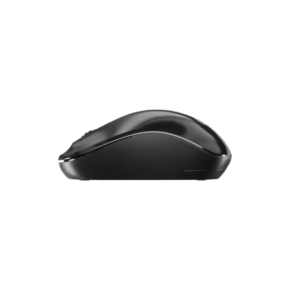 WS206 1200DPI Kablosuz Optik Mouse (Siyah)